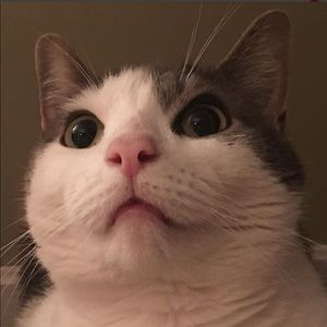 Meet your Posher, Danny